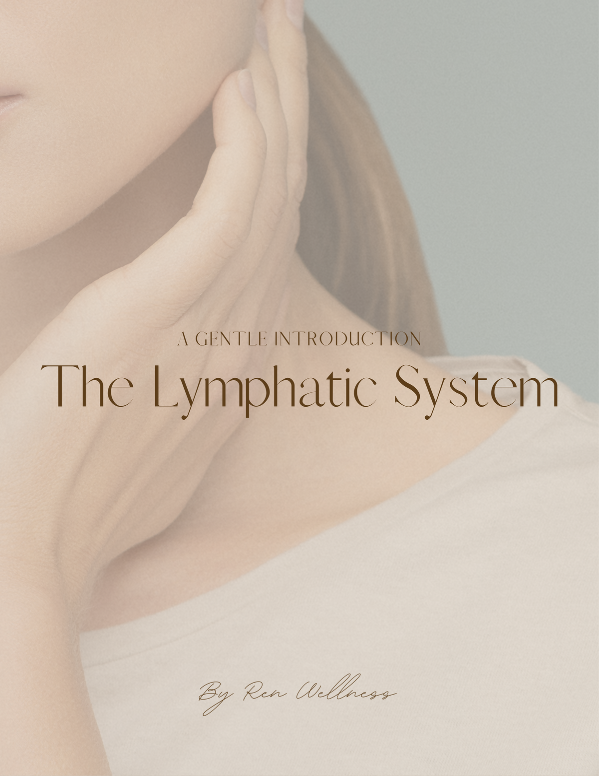 The Lymphatic System: A Gentle Introduction